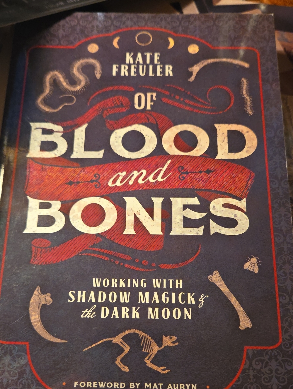 Of Blood And Bone Book